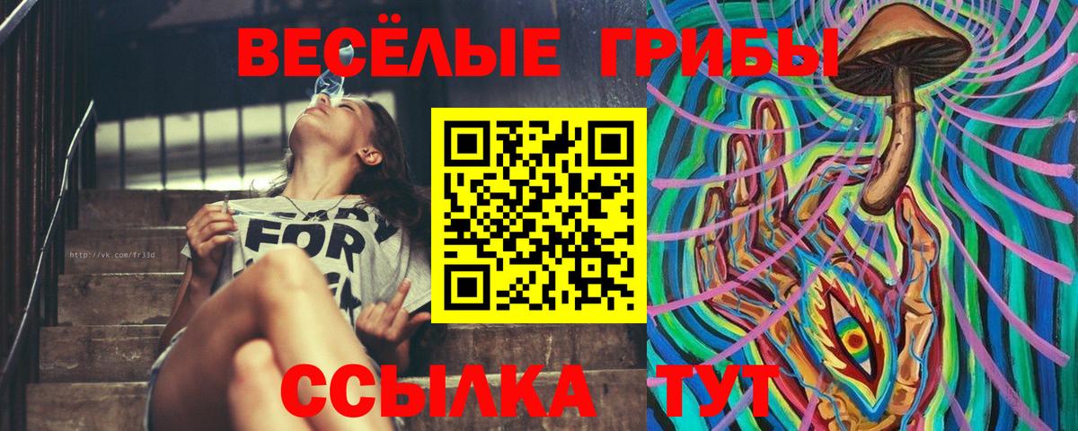 Галлюциногенные грибы MAGIC MUSHROOMS  Вход с VPN  Галлюциногенные грибы мицелий  Дзержинский 
